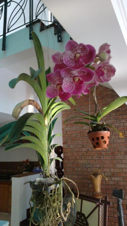 Flower Garden Homestay Hoi An Dış mekan fotoğraf